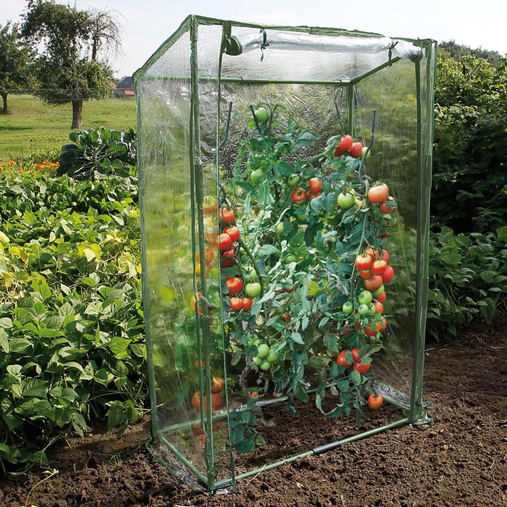 Tomatengewächshaus 100×50×150 cm - Pazzar.ch