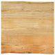 Tischplatte mit Baumkante 40x40x2,5 cm Massivholz Mango