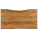 Tischplatte mit Baumkante 100x60x2,5 cm Massivholz Mango
