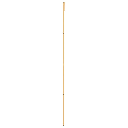 Schiebetür Golden 90x205 cm ESG-Klarglas und Aluminium