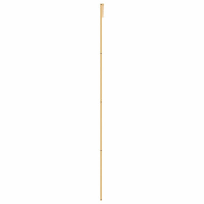 Schiebetür Golden 76x205 cm ESG-Klarglas und Aluminium