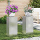 Pflanzenständer 2 pcs Silber 24 x 24 x 55 cm Edelstahl