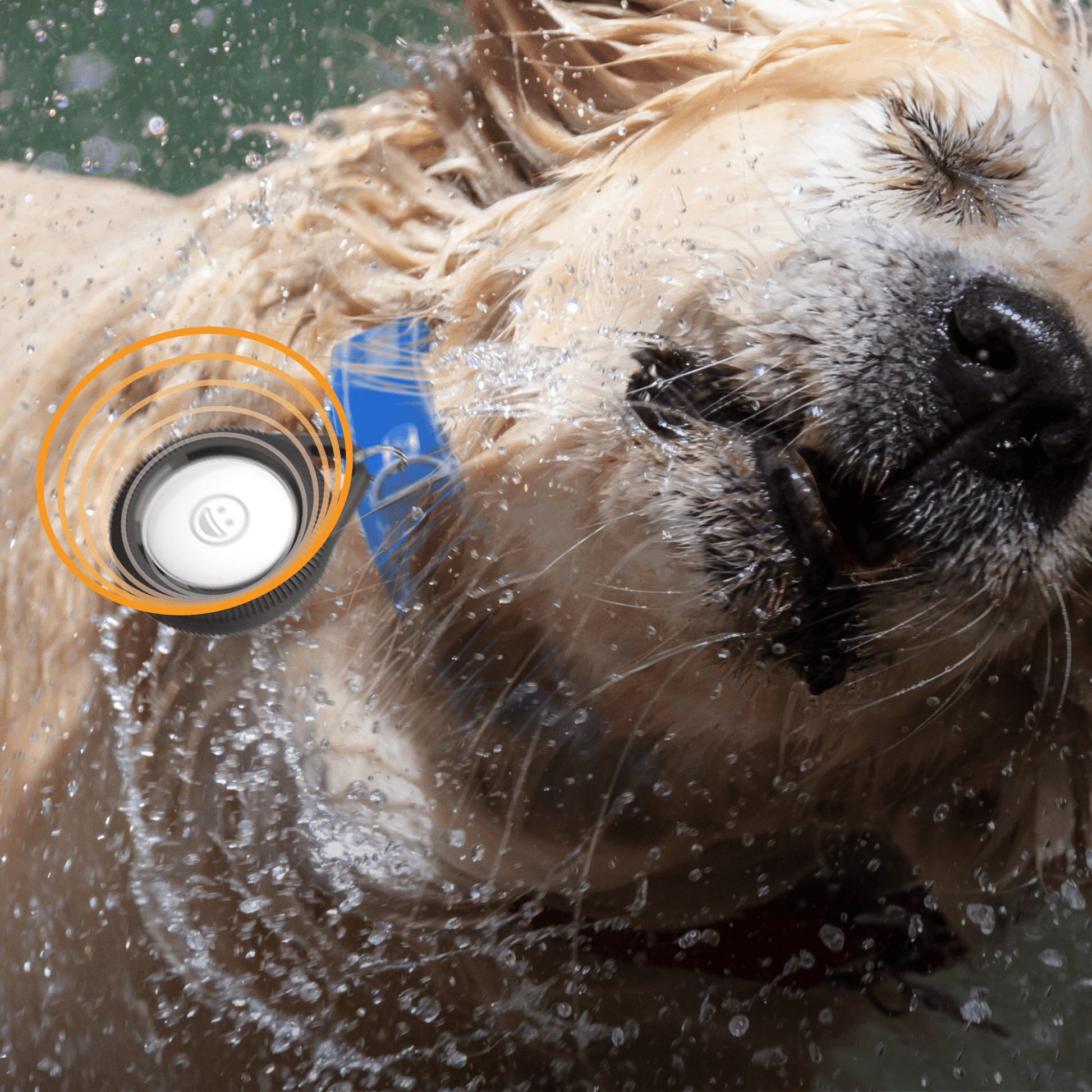 Catalyst - Wasserdichtes und Sturzfestes Case für den Apple AirTag - Schwarz