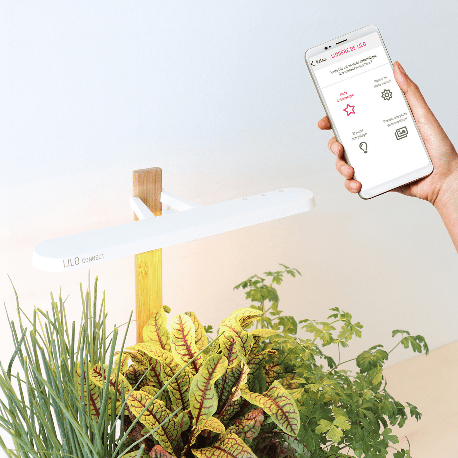 Prêt à Pousser - Lilo Connect smarter Indoor-Kräutergarten für das anbauen von Kräutern - Weiss