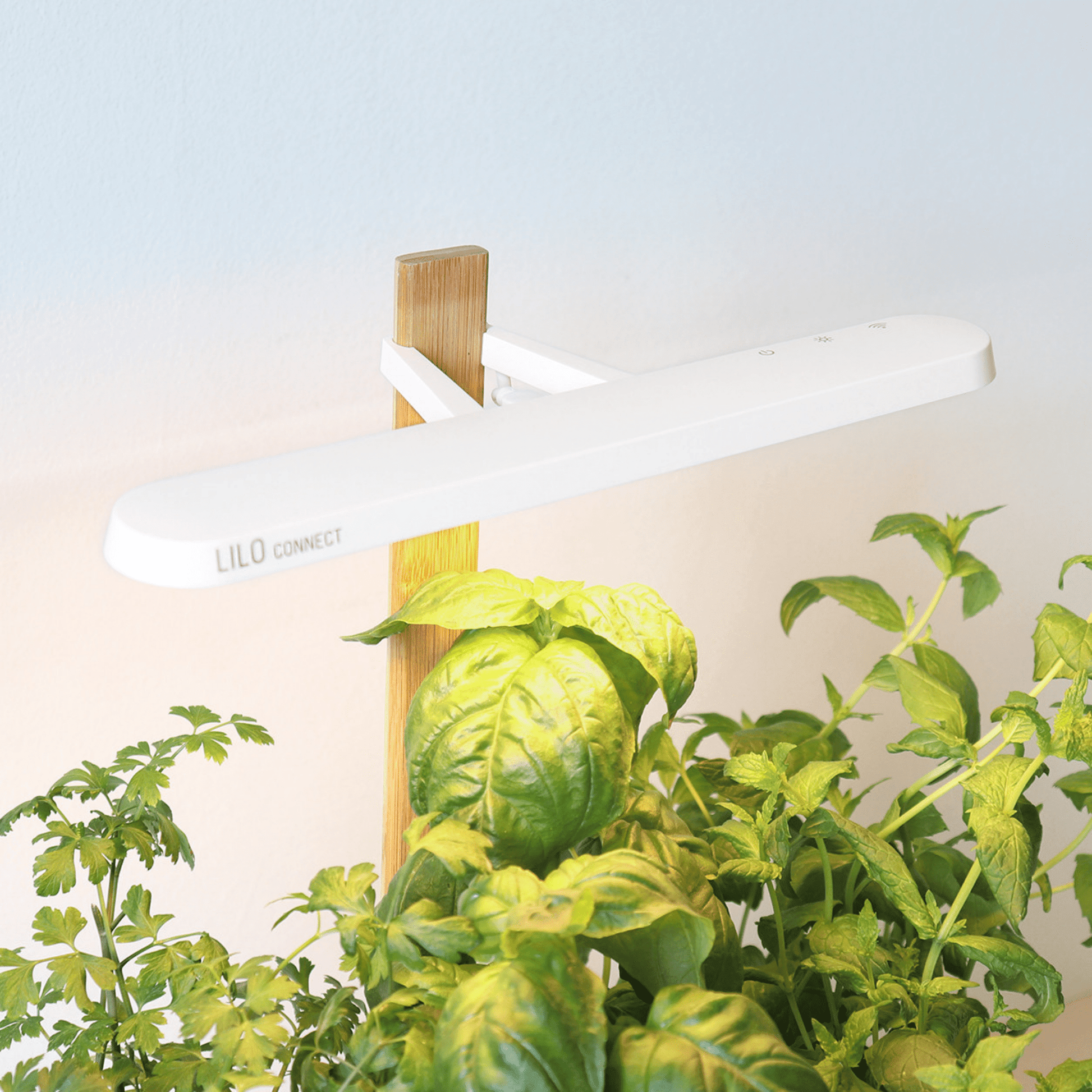 Prêt à Pousser - Lilo Connect smarter Indoor-Kräutergarten für das anbauen von Kräutern - Weiss