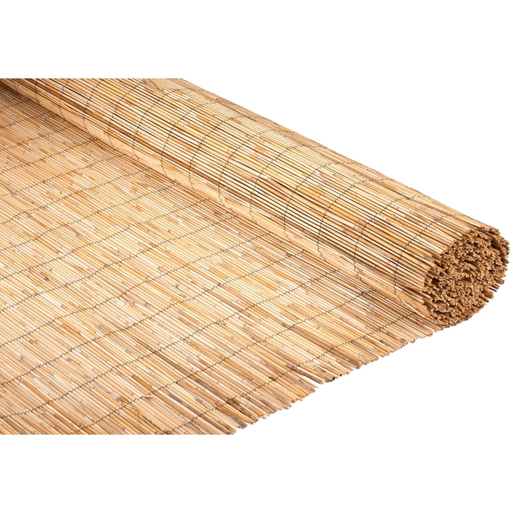 Nature Garten-Sichtschutz Schilfmatte 1,5×3 m - Pazzar.ch