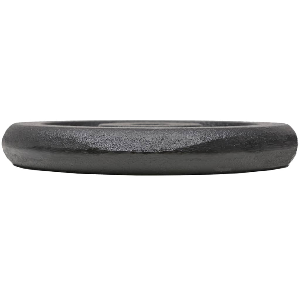 Hantelscheiben 4 Stk. 2x10 kg+2x5 kg Gusseisen