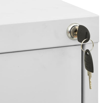Aktenschrank Hellgrau 46x62x102,5 cm Stahl - Pazzar.ch