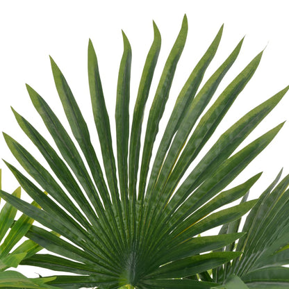 Künstliche Pflanze Palme mit Topf Grün 70 cm - Pazzar.ch
