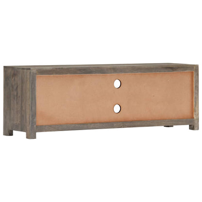 TV-Schrank Grau 120x30x40 cm Massivholz Mango - Pazzar.ch
