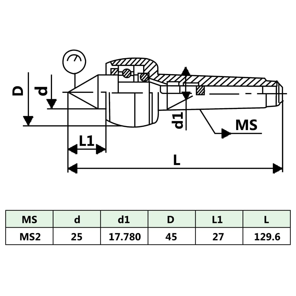 Zentrierspitze MT2 - Pazzar.ch