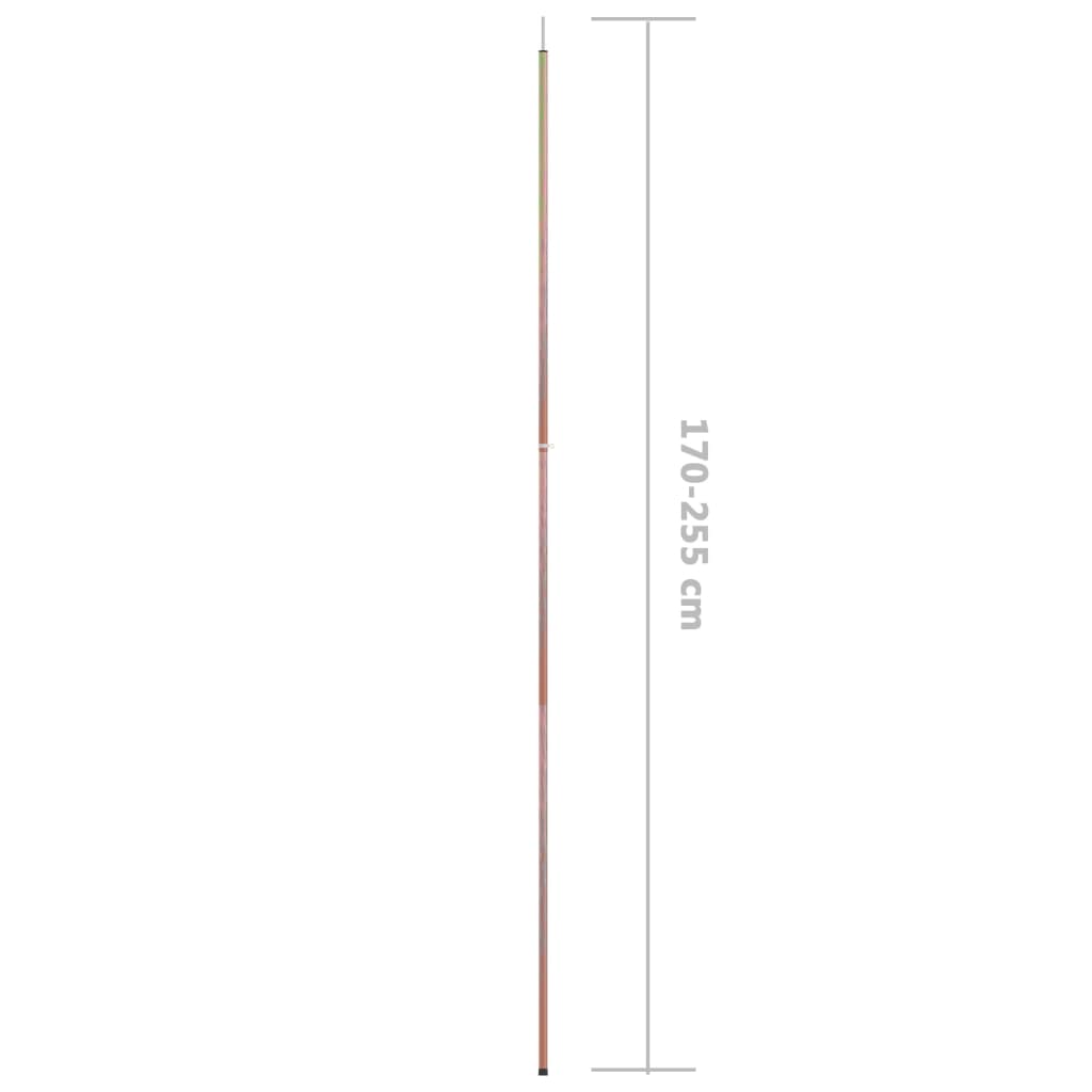 Teleskop-Zeltstangen 170-255 cm 2 Stk. Verzinkter Stahl - Pazzar.ch