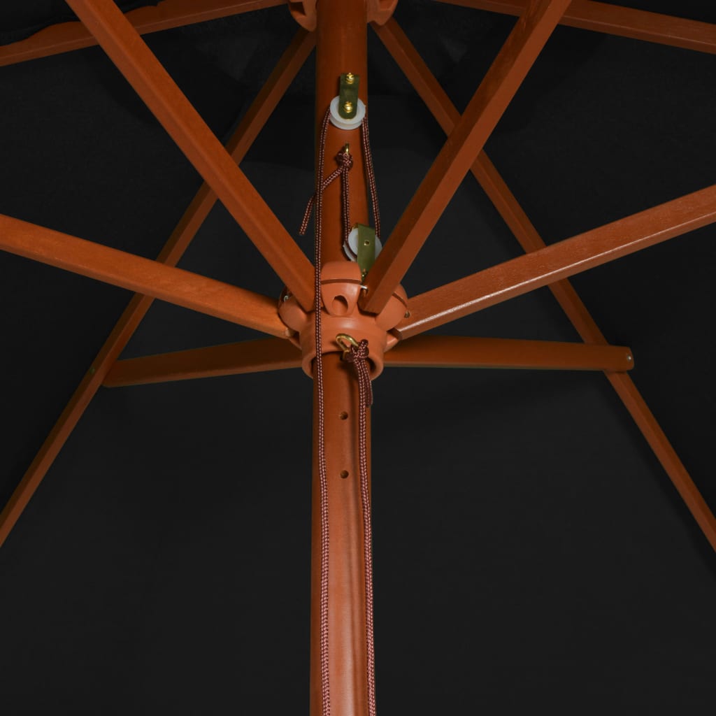 Sonnenschirm mit Holzmast Schwarz 200x300 cm - Pazzar.ch
