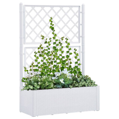 Garten-Hochbeet mit Spalier und Selbstbewässerungssystem Weiß - Pazzar.ch