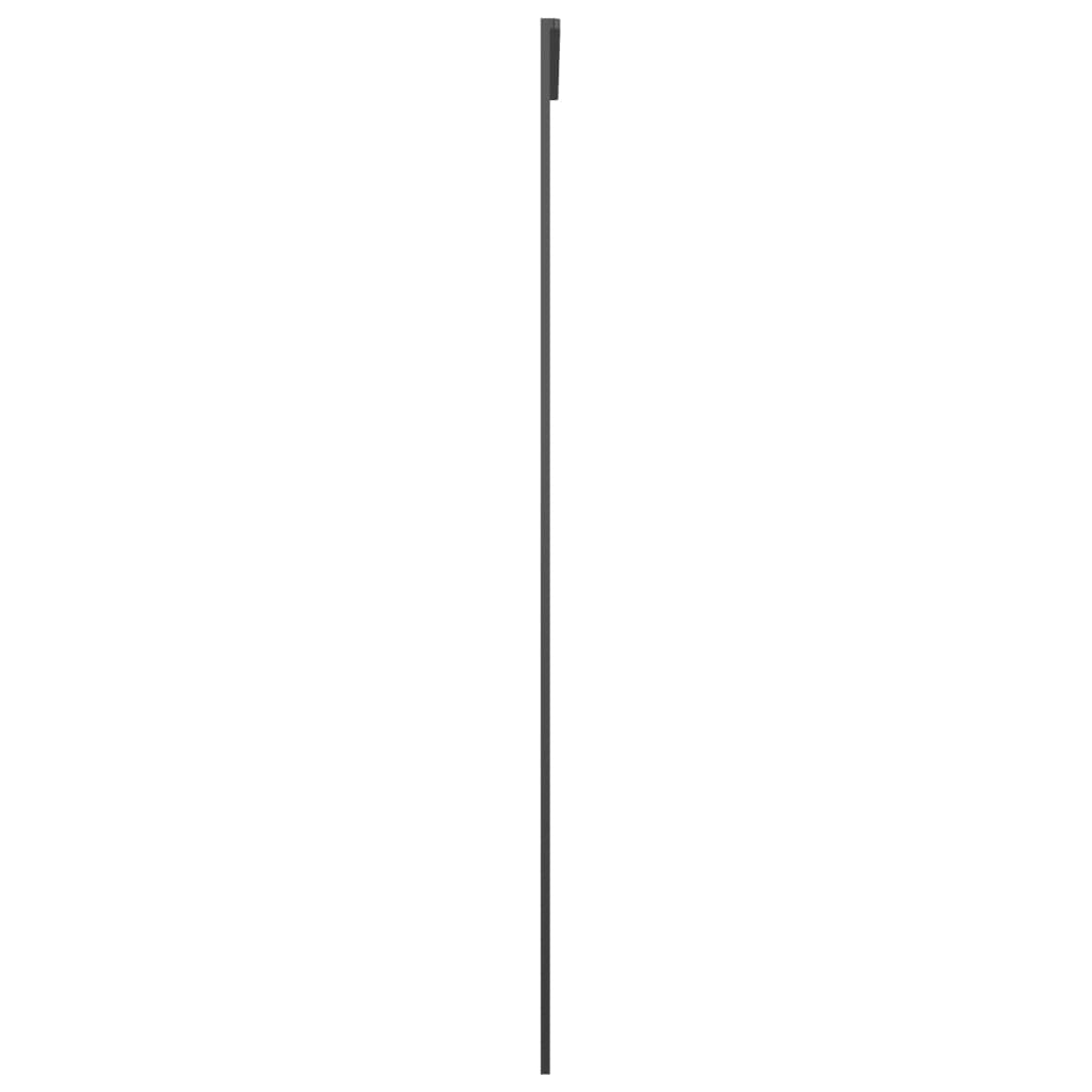 Schiebetür Aluminium und ESG Glas 76x205 cm Schwarz - Pazzar.ch