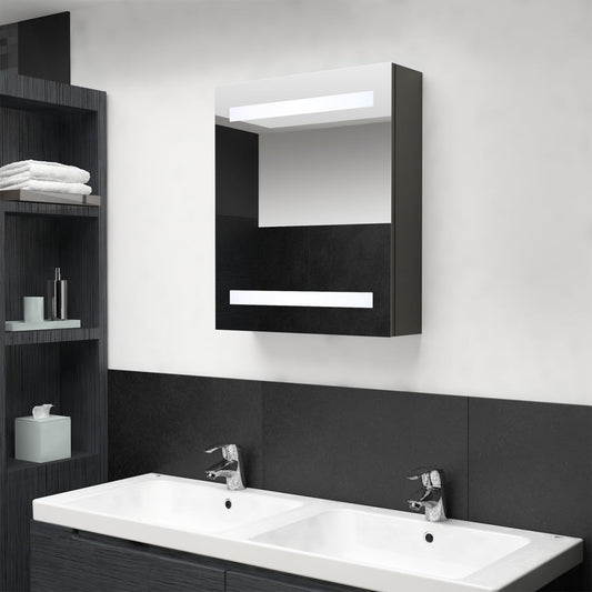 LED-Bad-Spiegelschrank Anthrazit 50x14x60 cm - Pazzar.ch