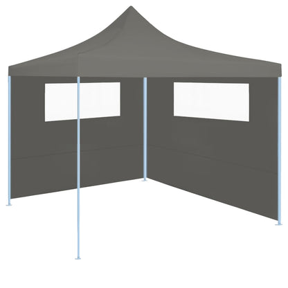 Pavillon-Seitenwände mit Fenstern 2 Stk. Anthrazit - Pazzar.ch