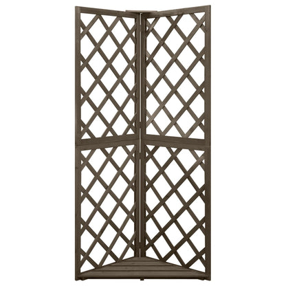 Eckspalier Grau 50x50x145 cm Massivholz Tanne - Pazzar.ch
