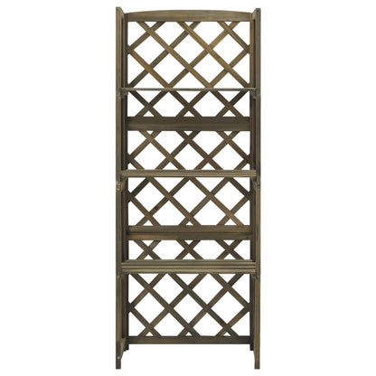 Spalier mit Ablagen Grau 55x30x140 cm Massivholz Tanne - Pazzar.ch