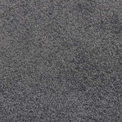 Fußmatte 80x120 cm Anthrazit - Pazzar.ch