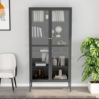 Vitrine Anthrazit 90x40x180 cm Stahl und Gehärtetes Glas - Pazzar.ch