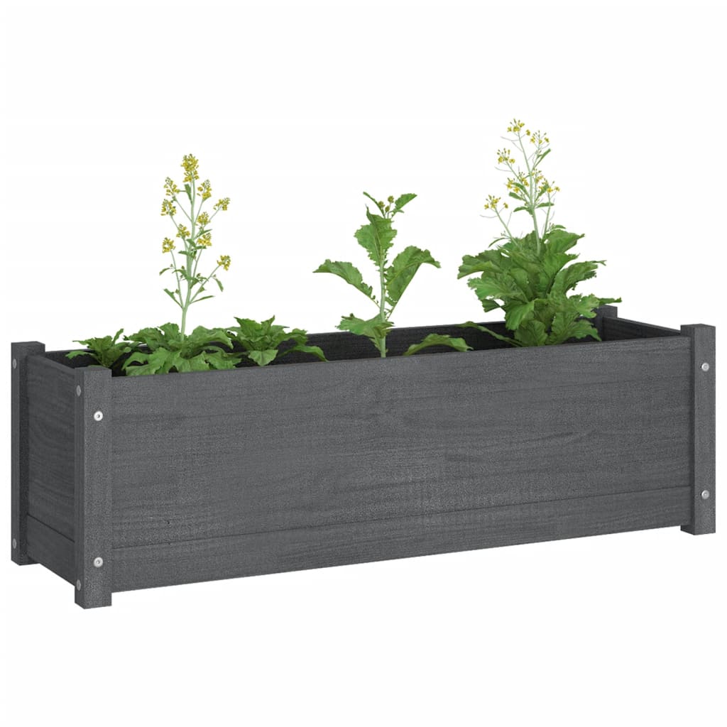 Pflanzkübel Grau 100x31x31 cm Massivholz Kiefer