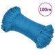 Arbeitsseil Blau 6 mm 100 m Polypropylen