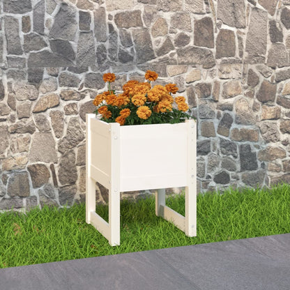 Pflanzkübel Weiß 40x40x52,5 cm Massivholz Kiefer - Pazzar.ch