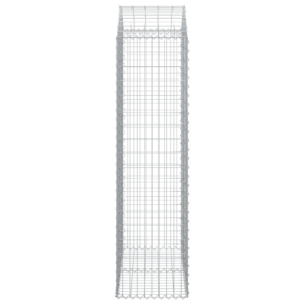 Gabione mit Hochbogen 100x50x180/200 cm Verzinktes Eisen