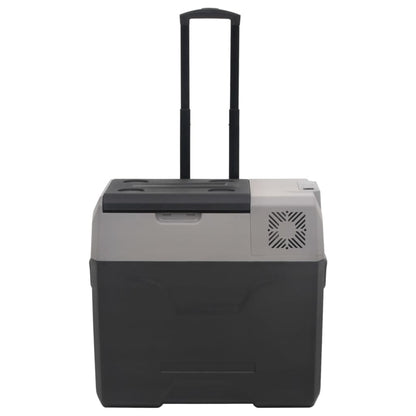 Kühlbox mit Rollen und Griff Schwarz & Grau 30 L Polypropylen - Pazzar.ch