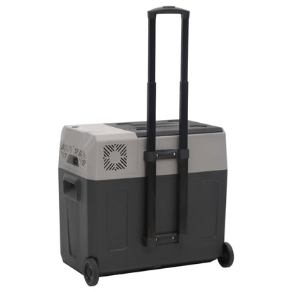 Kühlbox mit Rollen und Griff Schwarz & Grau 30 L Polypropylen - Pazzar.ch