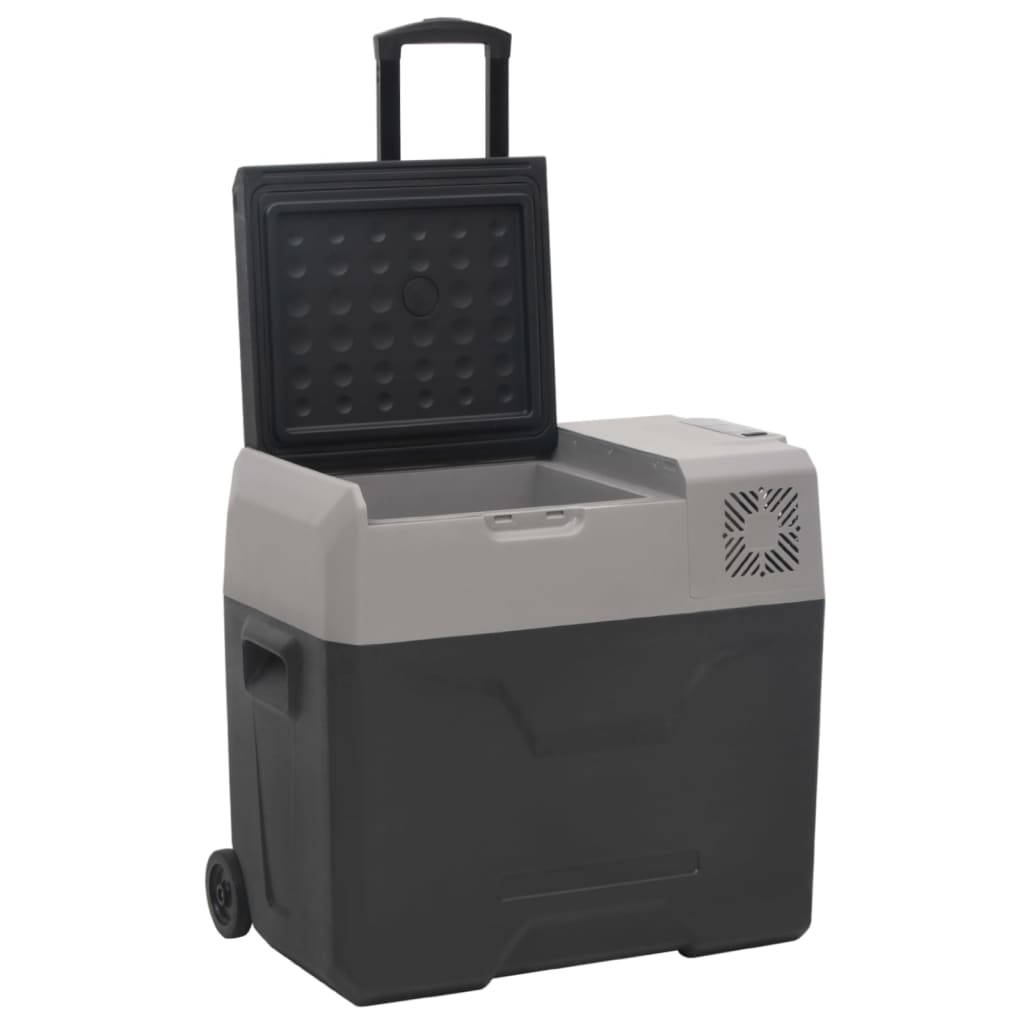 Kühlbox mit Rollen und Griff Schwarz & Grau 30 L Polypropylen - Pazzar.ch