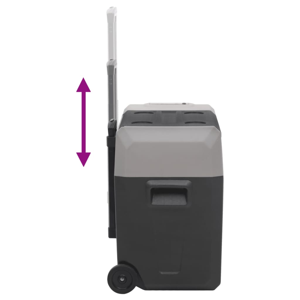 Kühlbox mit Rollen und Griff Schwarz & Grau 40 L Polypropylen - Pazzar.ch