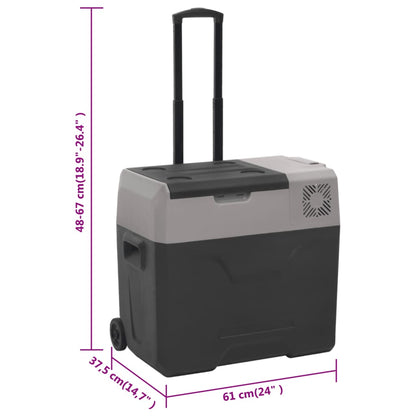 Kühlbox mit Rollen und Griff Schwarz & Grau 40 L Polypropylen - Pazzar.ch