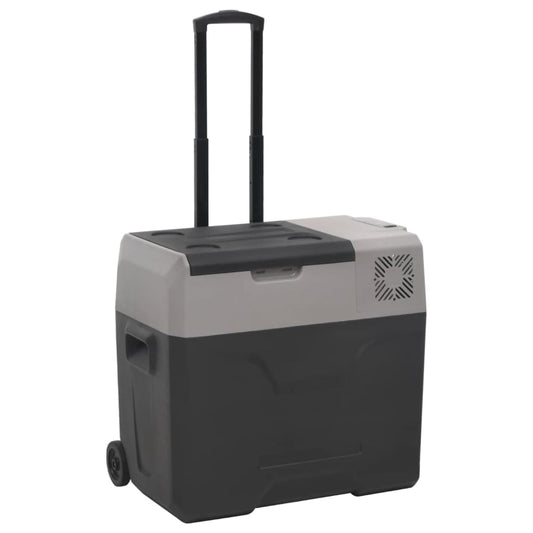 Kühlbox mit Rollen und Griff Schwarz & Grau 50 L Polypropylen - Pazzar.ch