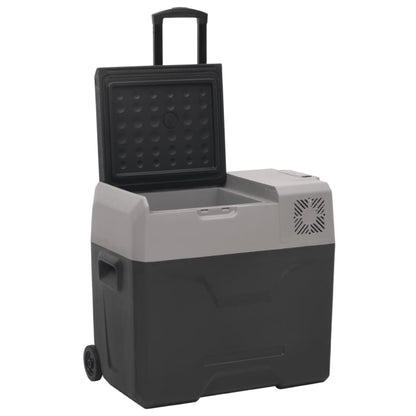 Kühlbox mit Rollen und Griff Schwarz & Grau 50 L Polypropylen - Pazzar.ch