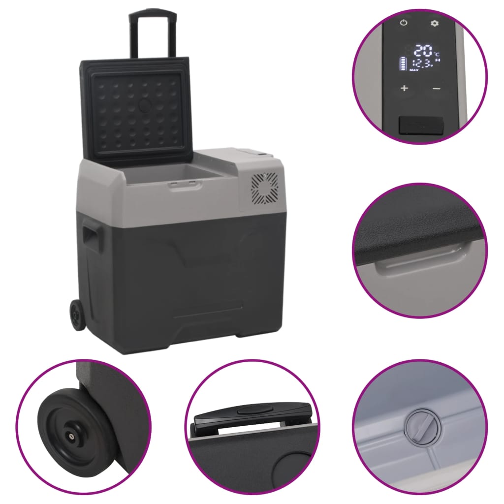 Kühlbox mit Rollen und Griff Schwarz & Grau 50 L Polypropylen - Pazzar.ch