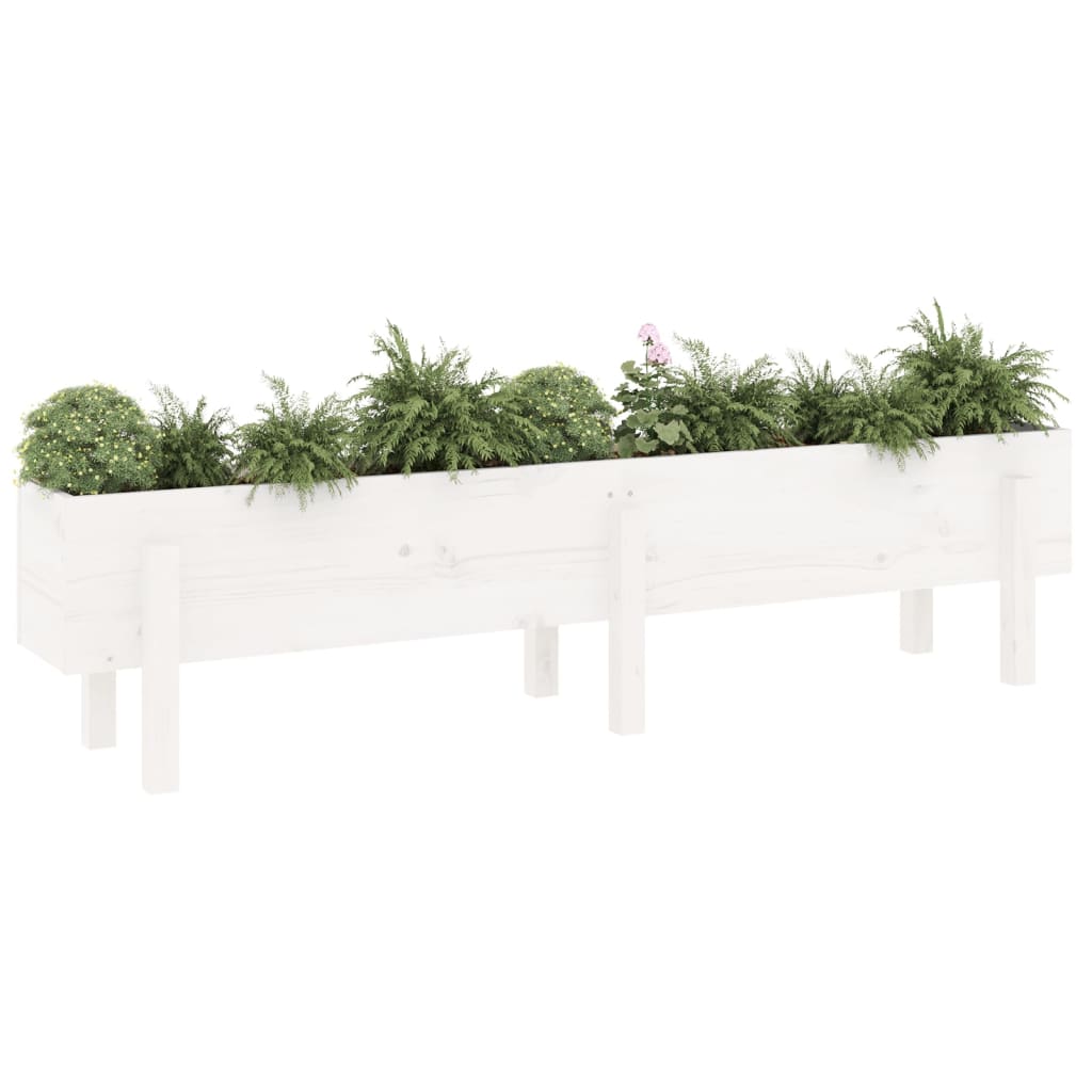 Hochbeet Weiß 160x30x38 cm Massivholz Kiefer - Pazzar.ch