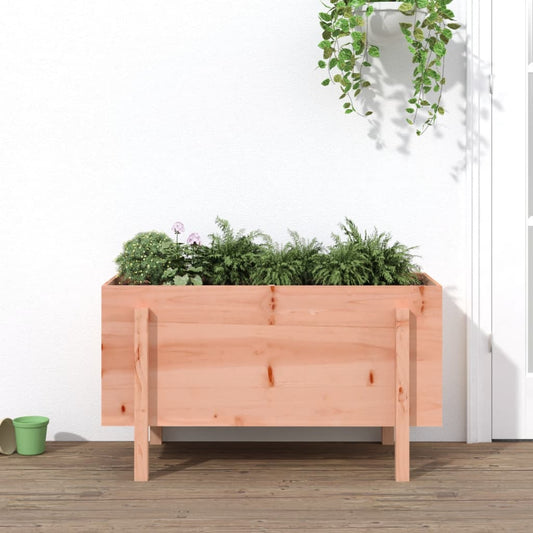 Hochbeet 101x50x57 cm Massivholz Douglasie - Pazzar.ch
