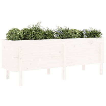 Hochbeet Weiß 160x50x57 cm Massivholz Kiefer - Pazzar.ch