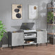 Plattenschrank Betongrau 121x38x48 cm Holzwerkstoff
