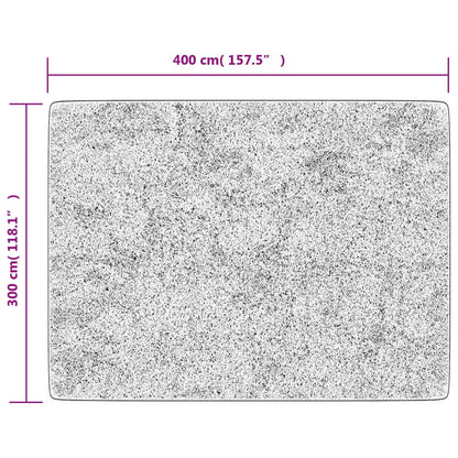Teppich Waschbar Anthrazit 400x300 cm Rutschfest - Pazzar.ch