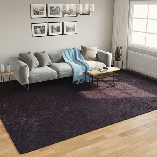 Teppich Waschbar Anthrazit 400x300 cm Rutschfest - Pazzar.ch